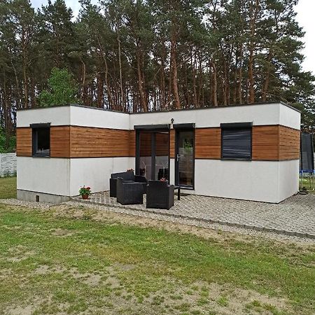 Domki Pod Sosnami Miedzychod Exteriör bild